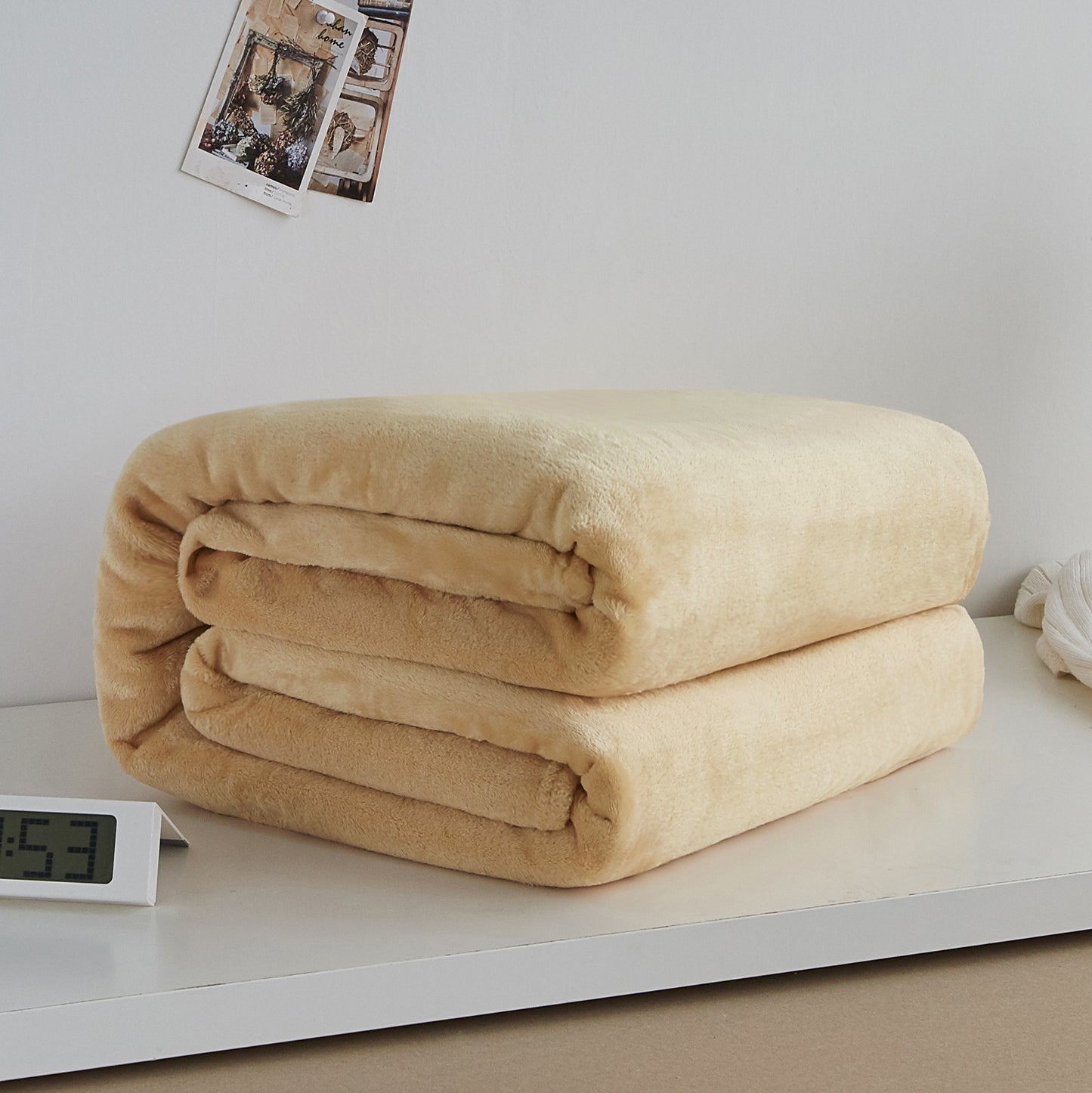 Thick Coral Fleece Blanket