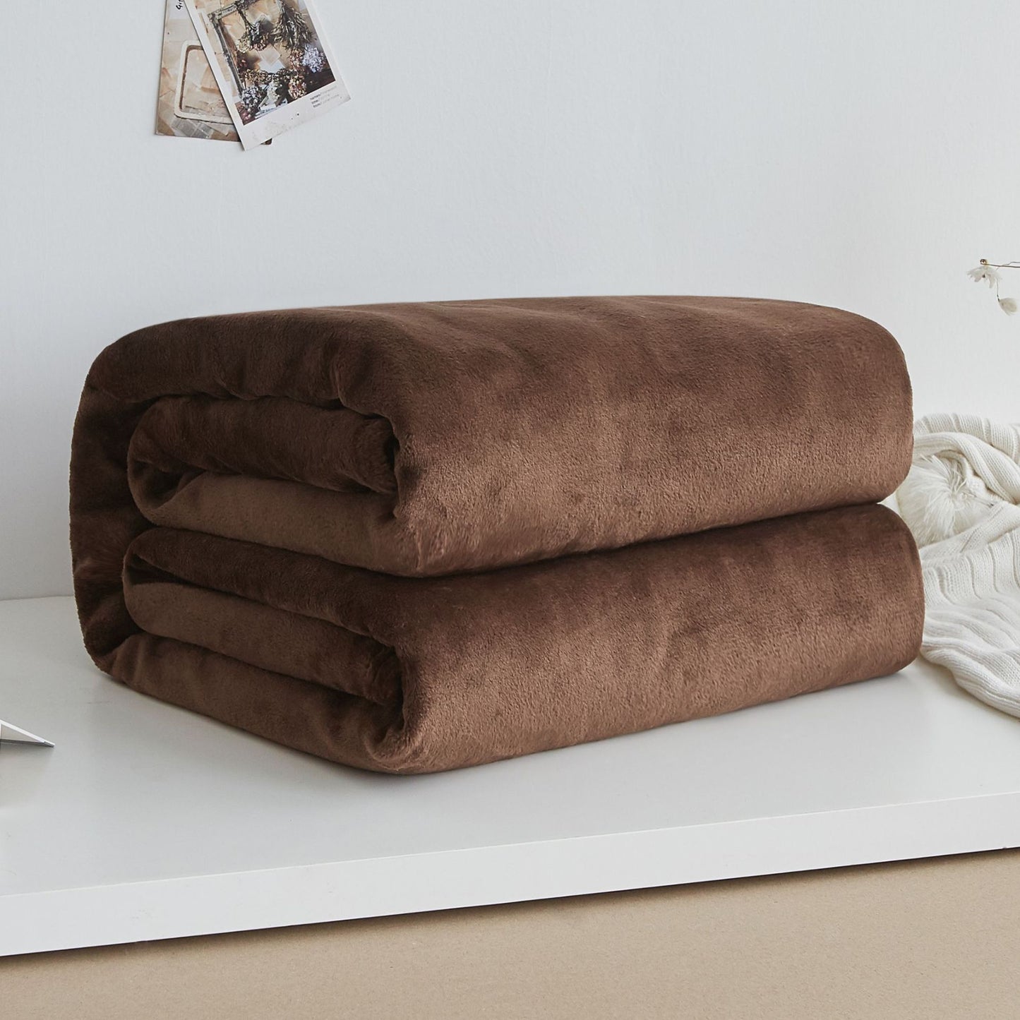 Thick Coral Fleece Blanket